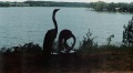 Crane